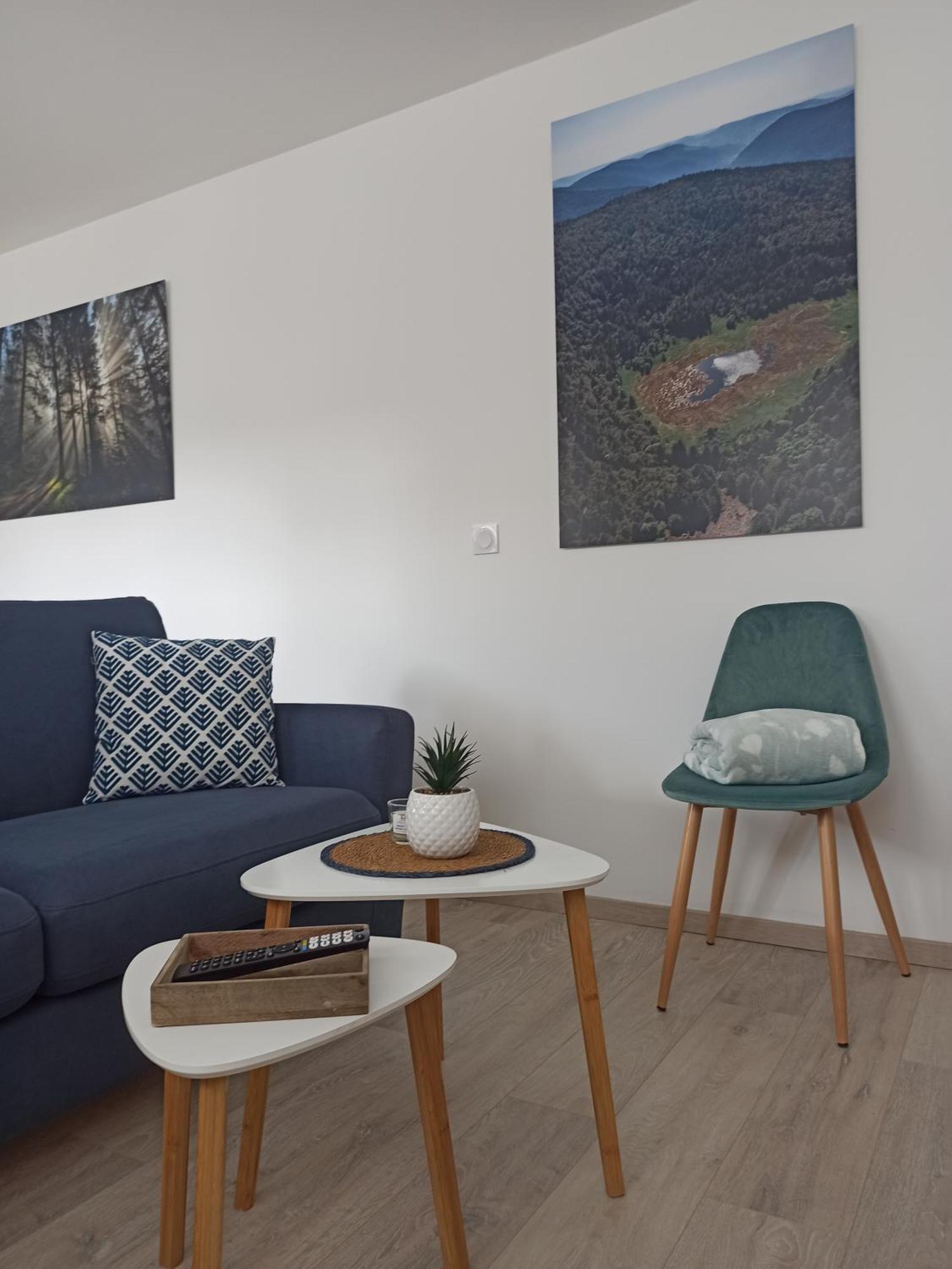 Chalet Kelly, Centre Ville / Jacuzzi / Sauna Gérardmer Exteriör bild